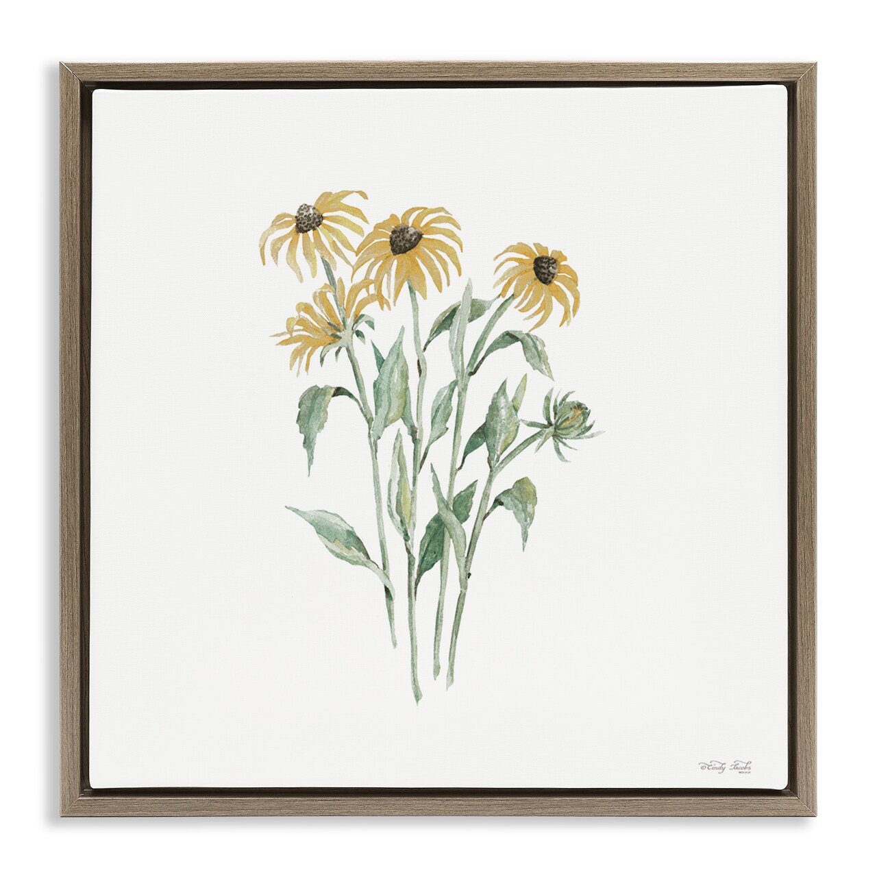 Stupell Industries Black-Eyed Susan Botanical Floating Frame, design by Cindy Jacobs